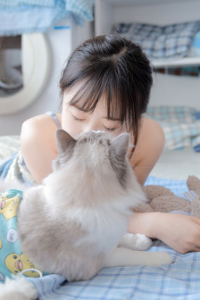 夏台凤